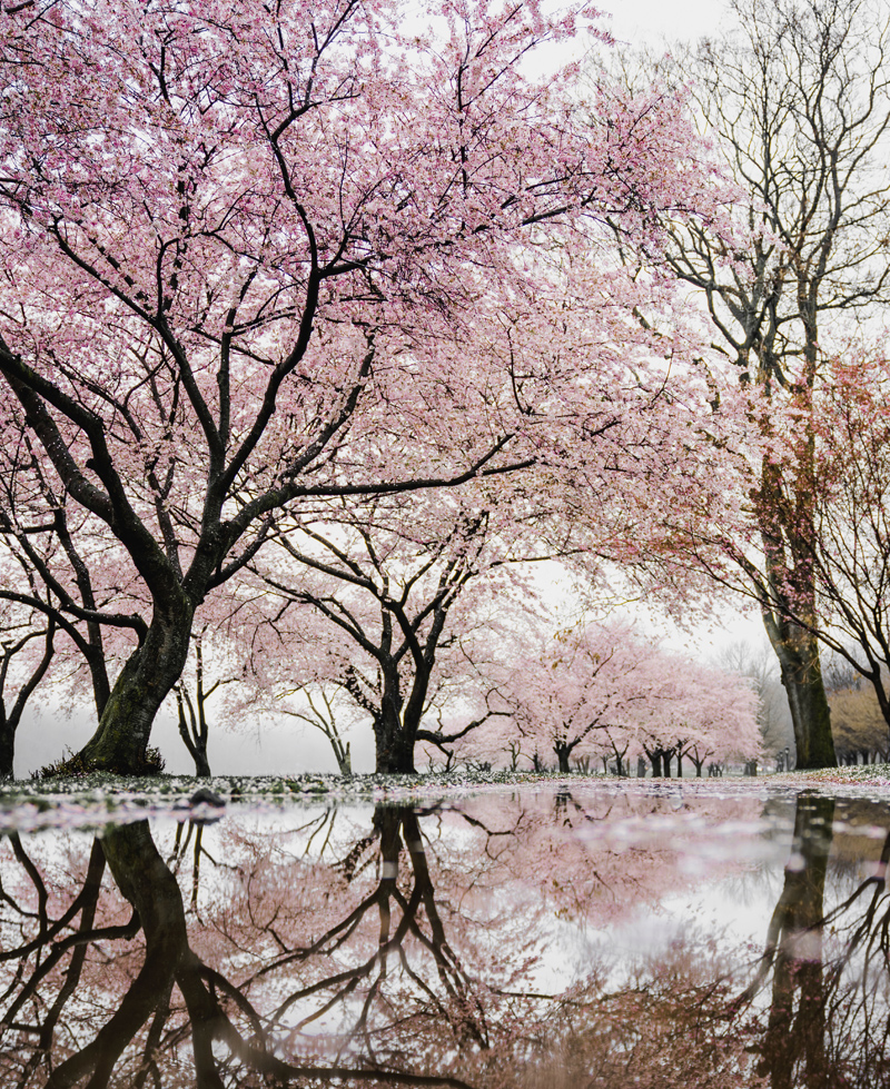 FOTORELACJE Z IMPREZ